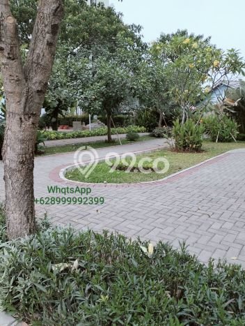 Apartemen Disewa Murah 0 KT / 1 KM di Kosambi, Tangerang Apartemen Disewa Murah 0 KT / 1 KM di Kosambi, Tangerang
