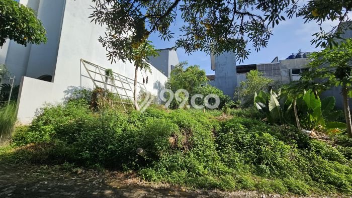 Tanah Kavling di Tembalang Dijual dengan Luas 169m2 Tanah Kavling di Tembalang Dijual dengan Luas 169m2