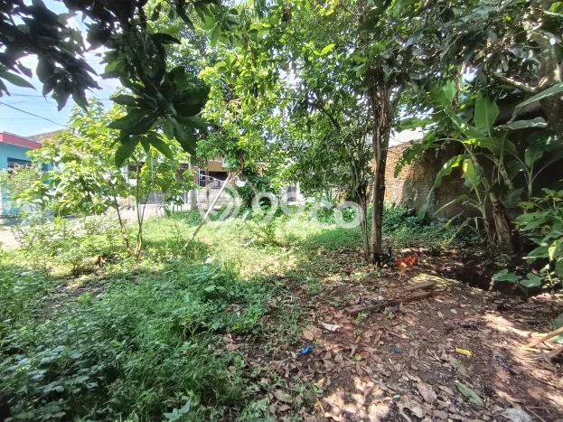 Jarang Ada! Tanah di Ungaran Barat Punya Luas 165m2 SHM Jarang Ada! Tanah di Ungaran Barat Punya Luas 165m2 SHM