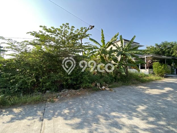 Tanah untuk Dijual Lokasi Pedurungan, Semarang Luas 304m2 SHM Tanah untuk Dijual Lokasi Pedurungan, Semarang Luas 304m2 SHM