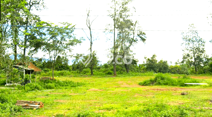 Rumah Mewah Dijual LT 20000m2 di Parung Panjang, Bogor Rumah Mewah Dijual LT 20000m2 di Parung Panjang, Bogor