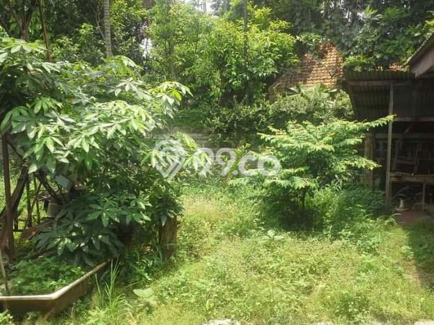 Untuk Dijual Tanah 1250m2 di Tanah Kusir, Jakarta Selatan Untuk Dijual Tanah 1250m2 di Tanah Kusir, Jakarta Selatan