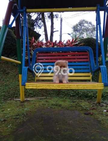 Hunian Cantik Modern Lb 200m2 di Cipanas, Cianjur Hunian Cantik Modern Lb 200m2 di Cipanas, Cianjur