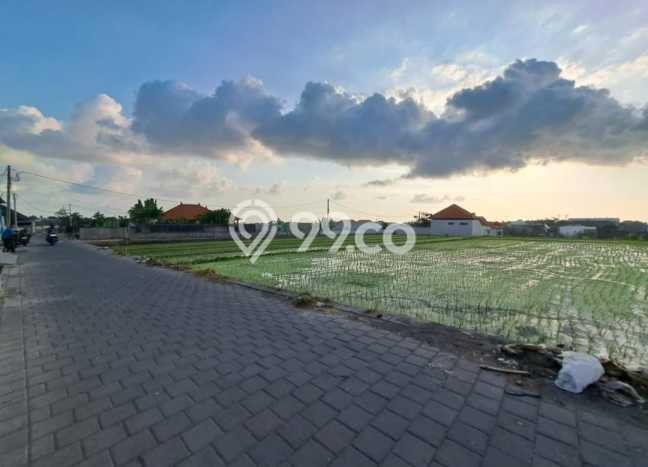Disewakan Vila Premium Kawasan , Luas 0m2m², Dekat Mudah Badung, Badung Disewakan Vila Premium Kawasan , Luas 0m2m², Dekat Mudah Badung, Badung
