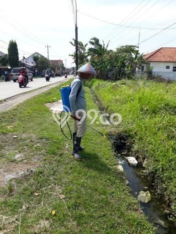 Tanah Kosong Dijual di Grobogan dengan Area 2209m2 Tanah Kosong Dijual di Grobogan dengan Area 2209m2