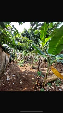 Lahan Dijual Lokasi Ciputat, Tangerang Selatan dengan Luas Tanah 230m2 dan Status SHM Lahan Dijual Lokasi Ciputat, Tangerang Selatan dengan Luas Tanah 230m2 dan Status SHM