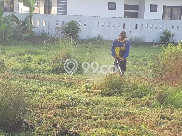 Tanah Kosong Dijual di Grobogan dengan Area 2209m2 Tanah Kosong Dijual di Grobogan dengan Area 2209m2