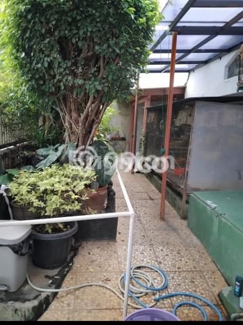 Rumah Minimalis 2 Kamar LT 157m2 di Cipinang Rumah Minimalis 2 Kamar LT 157m2 di Cipinang
