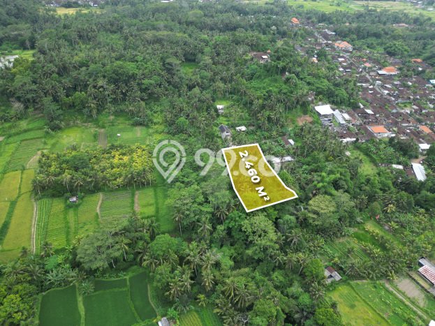 Lahan Dijual Lokasi Ubud, Gianyar dengan Luas Tanah 2460m2 dan Status SHM Lahan Dijual Lokasi Ubud, Gianyar dengan Luas Tanah 2460m2 dan Status SHM