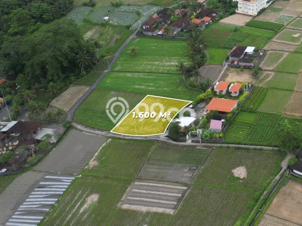 Tanah Siap Pakai Disewakan di Sukawati, Gianyar, Luas 1600m2 Tanah Siap Pakai Disewakan di Sukawati, Gianyar, Luas 1600m2