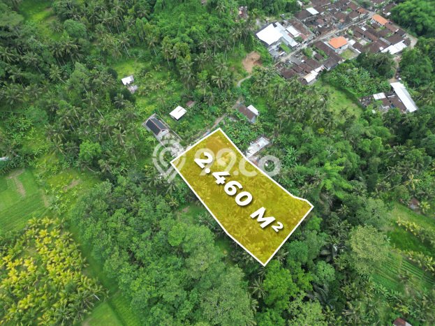 Lahan Dijual Lokasi Ubud, Gianyar dengan Luas Tanah 2460m2 dan Status SHM Lahan Dijual Lokasi Ubud, Gianyar dengan Luas Tanah 2460m2 dan Status SHM