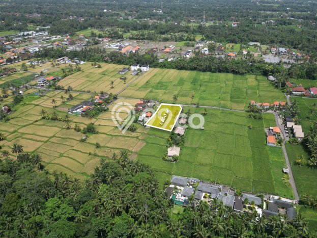 Untuk Disewa Tanah di Ubud Luas 1800m2 Hak Sewa Untuk Disewa Tanah di Ubud Luas 1800m2 Hak Sewa