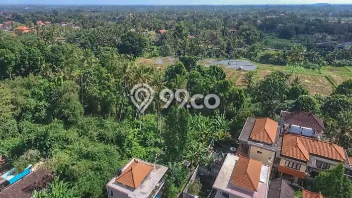 Disewakan Tanah di Petulu Gianyar Seluas 4500m2 Disewakan Tanah di Petulu Gianyar Seluas 4500m2