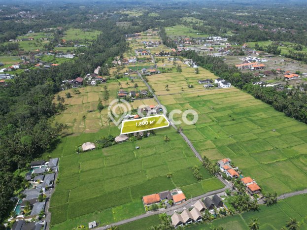 Untuk Disewa Tanah di Ubud Luas 1800m2 Hak Sewa Untuk Disewa Tanah di Ubud Luas 1800m2 Hak Sewa
