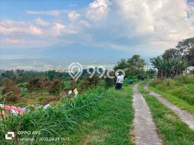 Lahan Kosong Dijual di Semarang dengan Area 3250m2 Lahan Kosong Dijual di Semarang dengan Area 3250m2