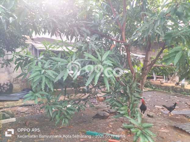 Tanah Dijual Lokasi Banyumanik Semarang SHM Tanah Dijual Lokasi Banyumanik Semarang SHM
