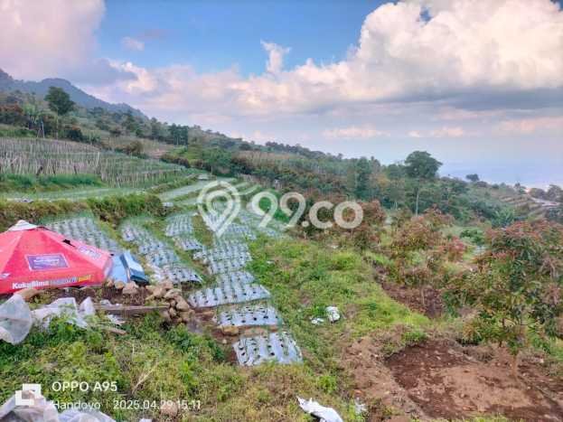 Lahan Kosong Dijual di Semarang dengan Area 3250m2 Lahan Kosong Dijual di Semarang dengan Area 3250m2