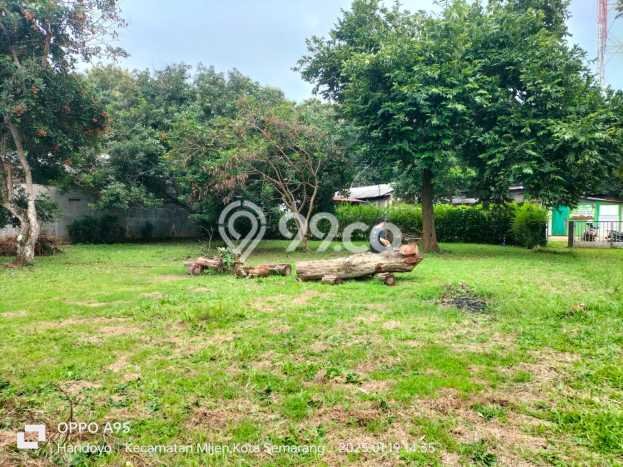 Tanah Komersial Dijual di Mijen Semarang 886m2 Tanah Komersial Dijual di Mijen Semarang 886m2