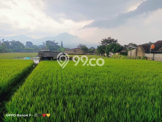 Tanah Dijual Lokasi Cibiru Bandung SHM Tanah Dijual Lokasi Cibiru Bandung SHM