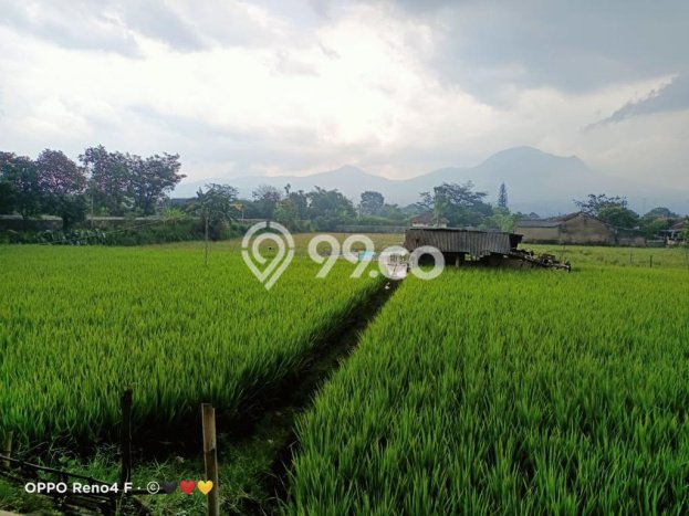 Tanah Dijual Lokasi Cibiru Bandung SHM Tanah Dijual Lokasi Cibiru Bandung SHM