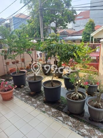 Hot Offer Hunian Premium Ideal dan Luas di Kelapa Gading, Jakarta Utara Hot Offer Hunian Premium Ideal dan Luas di Kelapa Gading, Jakarta Utara