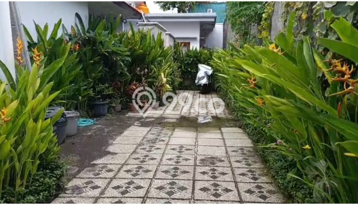 Disewakan Rumah Murah di Sanur Denpasar dengan 2 KT Disewakan Rumah Murah di Sanur Denpasar dengan 2 KT