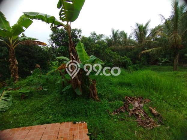 Tanah Kosong Dijual di Tangerang dengan Area 2700m2 Tanah Kosong Dijual di Tangerang dengan Area 2700m2