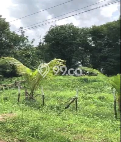 Untuk Dijual Tanah di Palembang, Luas 13932m2 SHM Untuk Dijual Tanah di Palembang, Luas 13932m2 SHM