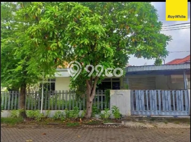 Rumah Elit Modern Tanpa Renovasi di Manyar Surabaya Rumah Elit Modern Tanpa Renovasi di Manyar Surabaya