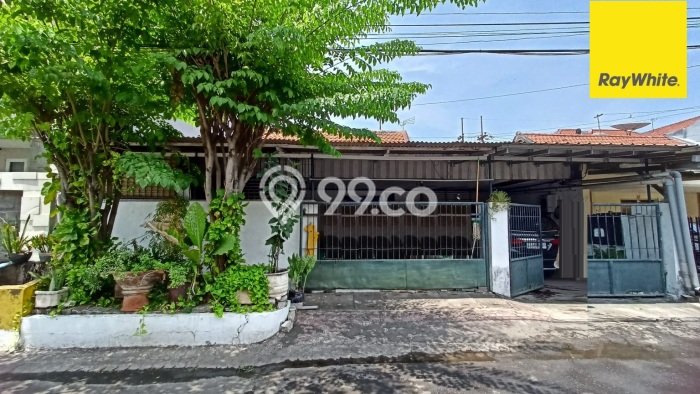For Sale Rumah Mewah Exclusive di Wonocolo, Surabaya For Sale Rumah Mewah Exclusive di Wonocolo, Surabaya