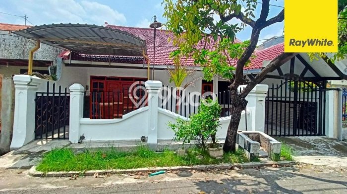 Disewakan Rumah Harga Terjangkau di Jemursari Surabaya dengan 4 Kamar Tidur Disewakan Rumah Harga Terjangkau di Jemursari Surabaya dengan 4 Kamar Tidur