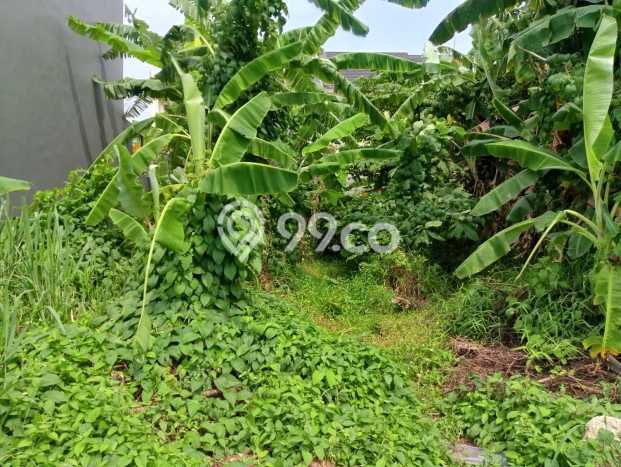 Tanah Dijual Lokasi Cakung Jakarta Timur SHM Tanah Dijual Lokasi Cakung Jakarta Timur SHM