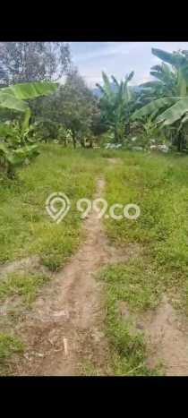 Lahan Investasi Lokasi Cigudeg Bogor SHM Lahan Investasi Lokasi Cigudeg Bogor SHM