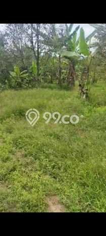 Lahan Investasi Lokasi Cigudeg Bogor SHM Lahan Investasi Lokasi Cigudeg Bogor SHM