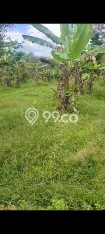 Lahan Investasi Lokasi Cigudeg Bogor SHM Lahan Investasi Lokasi Cigudeg Bogor SHM
