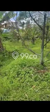 Lahan Investasi Lokasi Cigudeg Bogor SHM Lahan Investasi Lokasi Cigudeg Bogor SHM