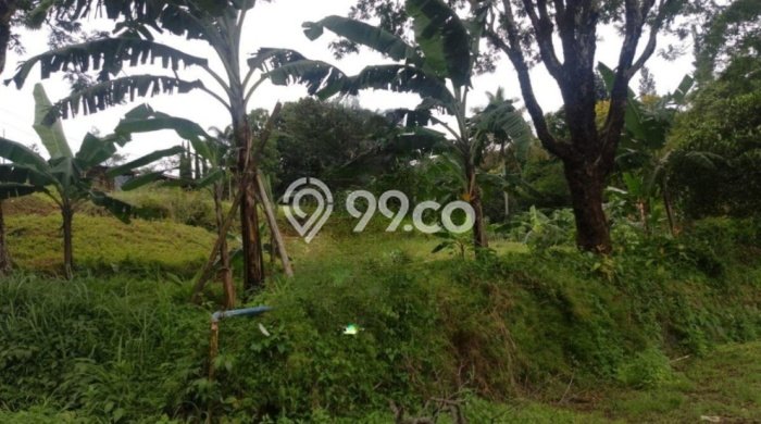 Untuk Dijual Tanah 2930m2 di Sentul, Bogor Untuk Dijual Tanah 2930m2 di Sentul, Bogor