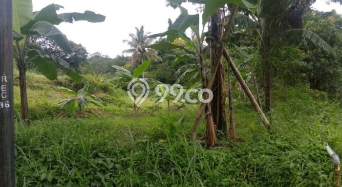 Kavling Tanah untuk Dijual di Sentul, Bogor, Luas 2923m2 Kavling Tanah untuk Dijual di Sentul, Bogor, Luas 2923m2