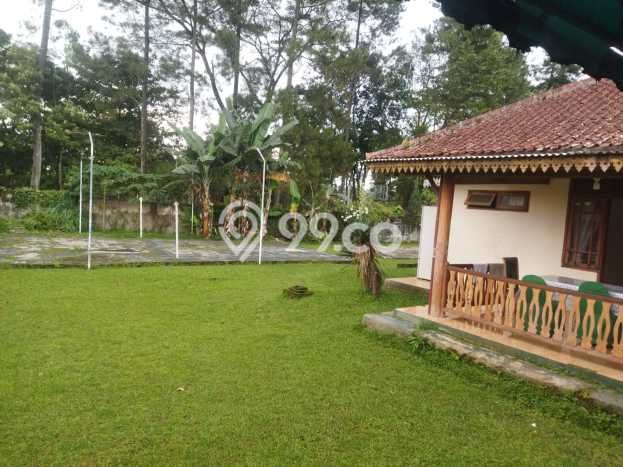 Vila Nyaman di Ciawi, Dimensi 5000m2m², View Menarik sekitar Vila Nyaman di Ciawi, Dimensi 5000m2m², View Menarik sekitar