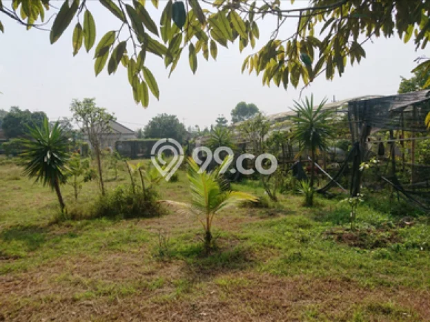 Kavling Tanah Dijual di Tajinan Malang Spesifikasi 1812m2 Kavling Tanah Dijual di Tajinan Malang Spesifikasi 1812m2