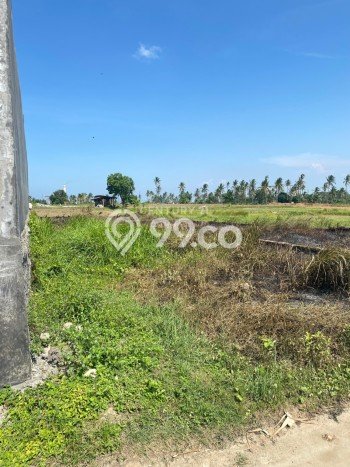 Tanah Komersial Dijual di Purwakarta Cilegon 121m2 Tanah Komersial Dijual di Purwakarta Cilegon 121m2