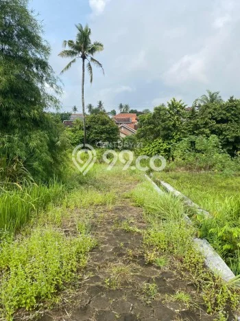 Lahan Dijual Lokasi Citangkil, Cilegon dengan Luas Tanah 1000m2 dan Status SHM Lahan Dijual Lokasi Citangkil, Cilegon dengan Luas Tanah 1000m2 dan Status SHM