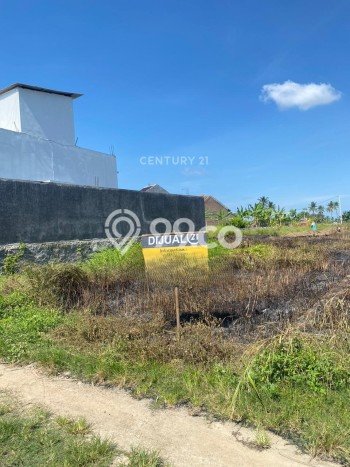 Tanah Komersial Dijual di Purwakarta Cilegon 121m2 Tanah Komersial Dijual di Purwakarta Cilegon 121m2