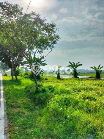 Lahan untuk Dijual di Kramatwatu Serang Luas 1000m2 Lahan untuk Dijual di Kramatwatu Serang Luas 1000m2