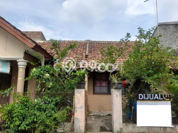 Rumah Luas Asri 3 KT Siap Pakai di Cilegon Indah Cilegon Rumah Luas Asri 3 KT Siap Pakai di Cilegon Indah Cilegon