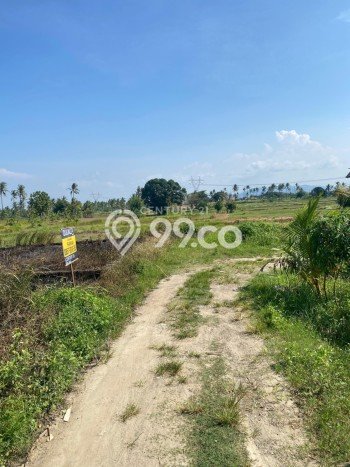 Tanah Komersial Dijual di Purwakarta Cilegon 121m2 Tanah Komersial Dijual di Purwakarta Cilegon 121m2