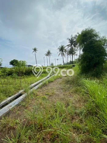 Lahan Dijual Lokasi Citangkil, Cilegon dengan Luas Tanah 1000m2 dan Status SHM Lahan Dijual Lokasi Citangkil, Cilegon dengan Luas Tanah 1000m2 dan Status SHM