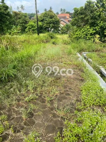 Lahan Dijual Lokasi Citangkil, Cilegon dengan Luas Tanah 1000m2 dan Status SHM Lahan Dijual Lokasi Citangkil, Cilegon dengan Luas Tanah 1000m2 dan Status SHM