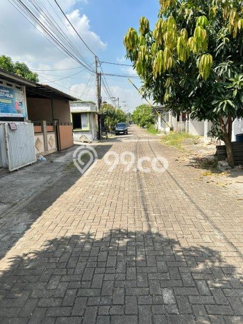 Rumah Sederhana Dijual Lokasi Citangkil 3 Kamar dengan LT 60m2 Rumah Sederhana Dijual Lokasi Citangkil 3 Kamar dengan LT 60m2