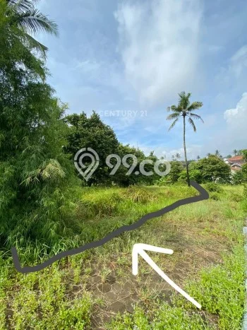 Lahan Dijual Lokasi Citangkil, Cilegon dengan Luas Tanah 1000m2 dan Status SHM Lahan Dijual Lokasi Citangkil, Cilegon dengan Luas Tanah 1000m2 dan Status SHM